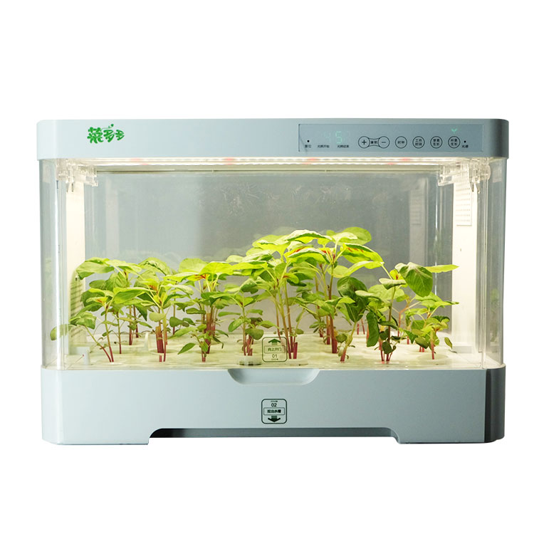 Hydroponic Kit - Small Indoor Intelligent Plastic Planter Cabinet