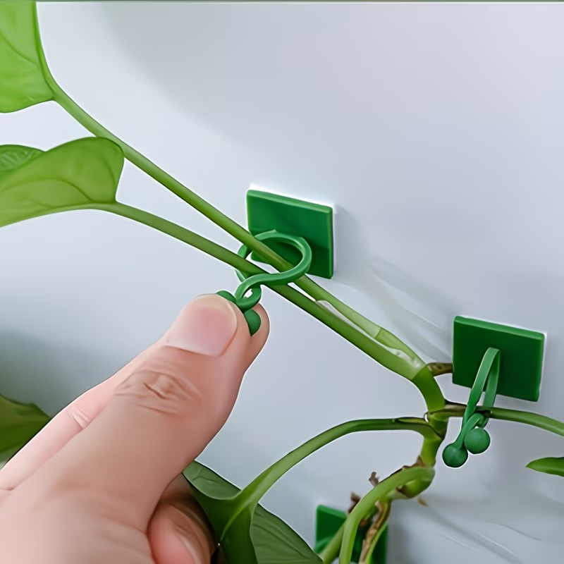 Indoor Herb Garden - 20-Pack Green Ivy Plant Climbing Wall