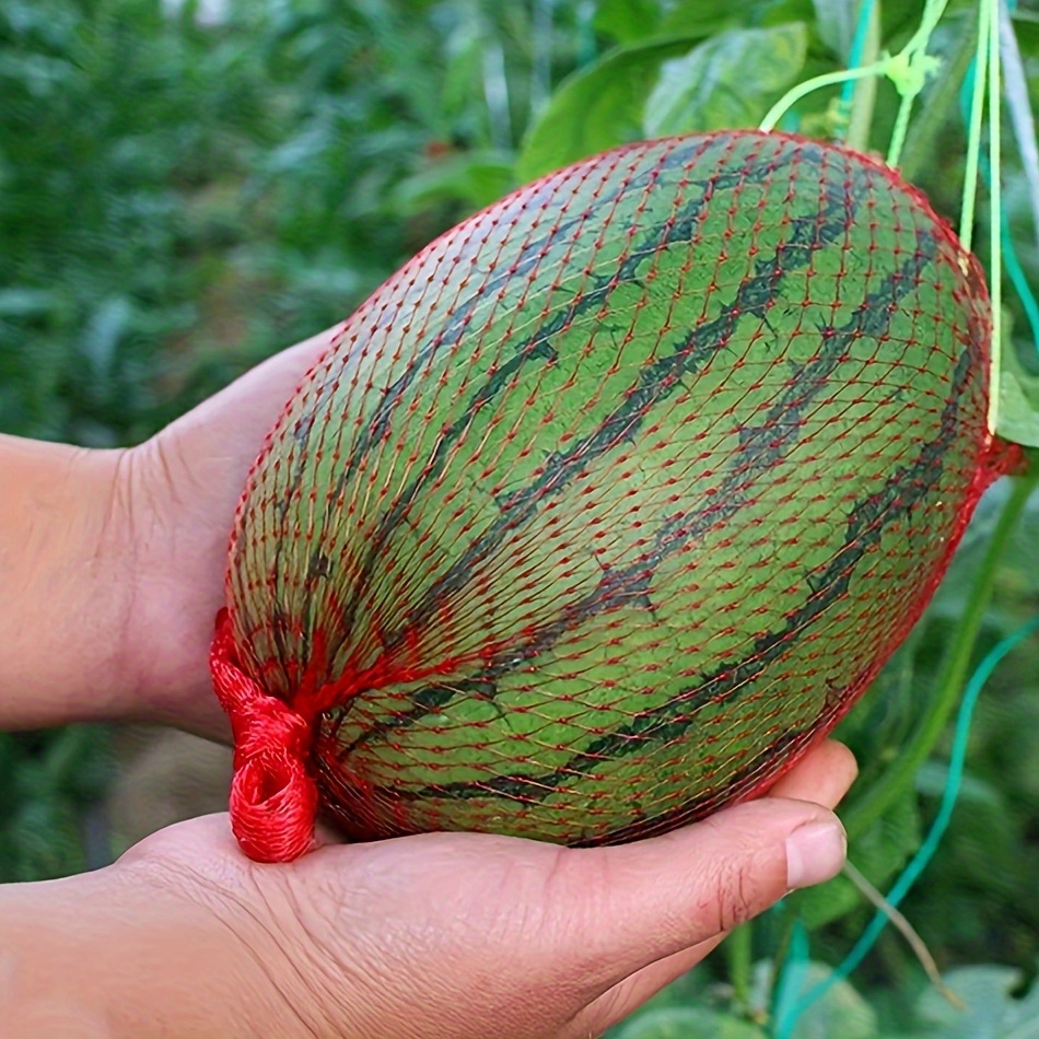 Grow Bag - 100pcs, Watermelon Nets, Hanging Reusable Watermelon