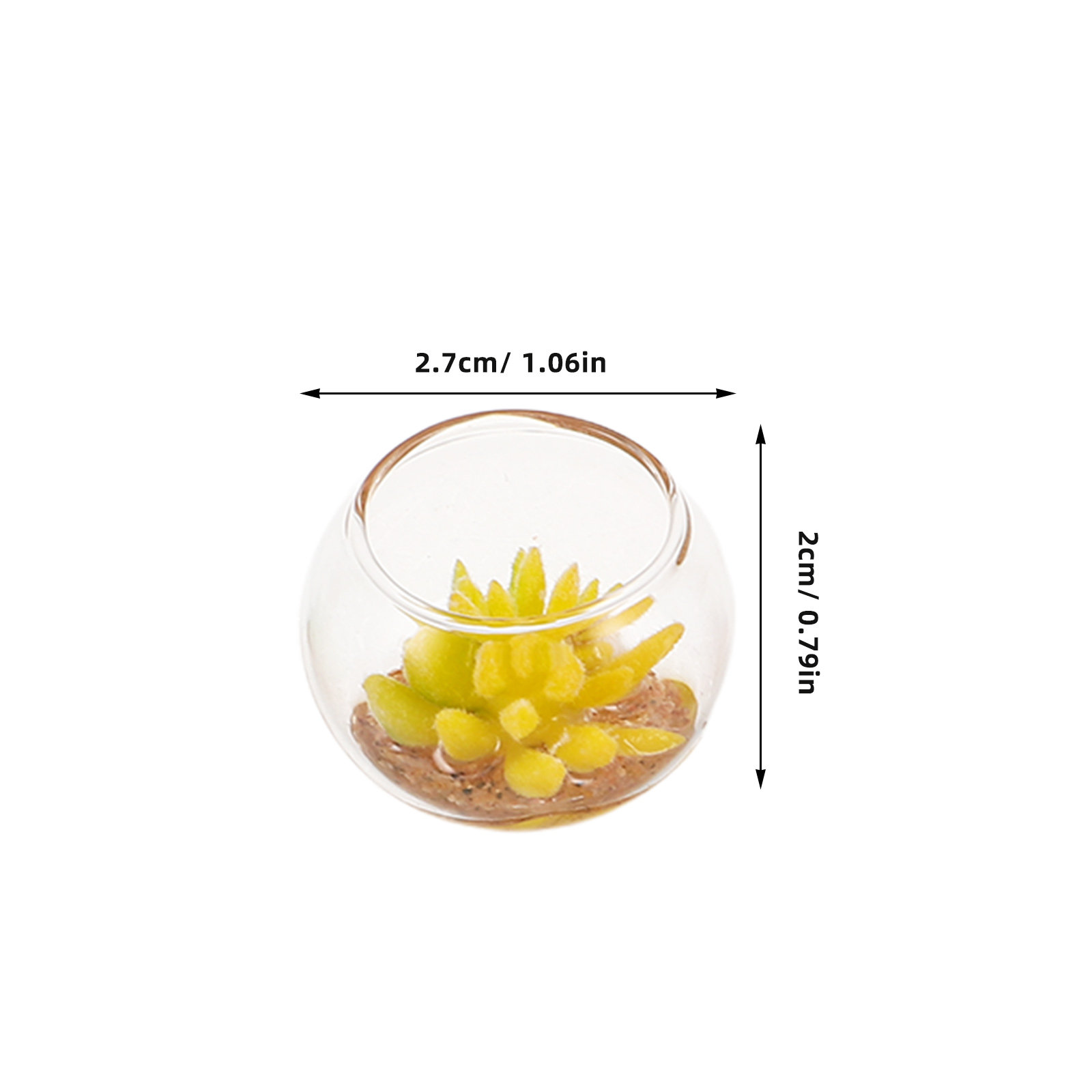Miniature Glass Planters 5Pcs  - Plant Pot recension och pris