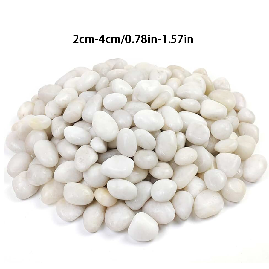 300/600g Polished White Pebble - Indoor Herb Garden recension och pris