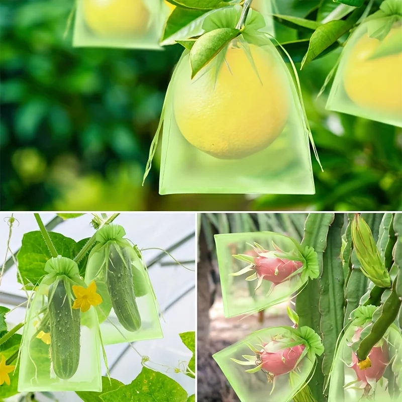 100Pcs Green Protective Bag wi - Grow Bag recension och pris