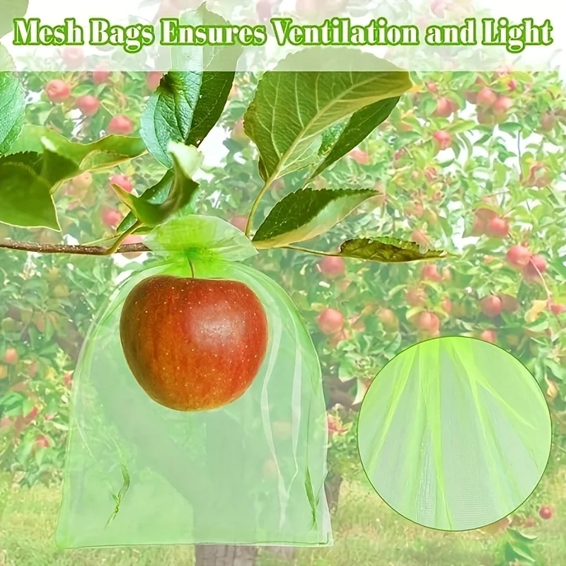 100Pcs Green Protective Bag wi - Grow Bag recension och pris