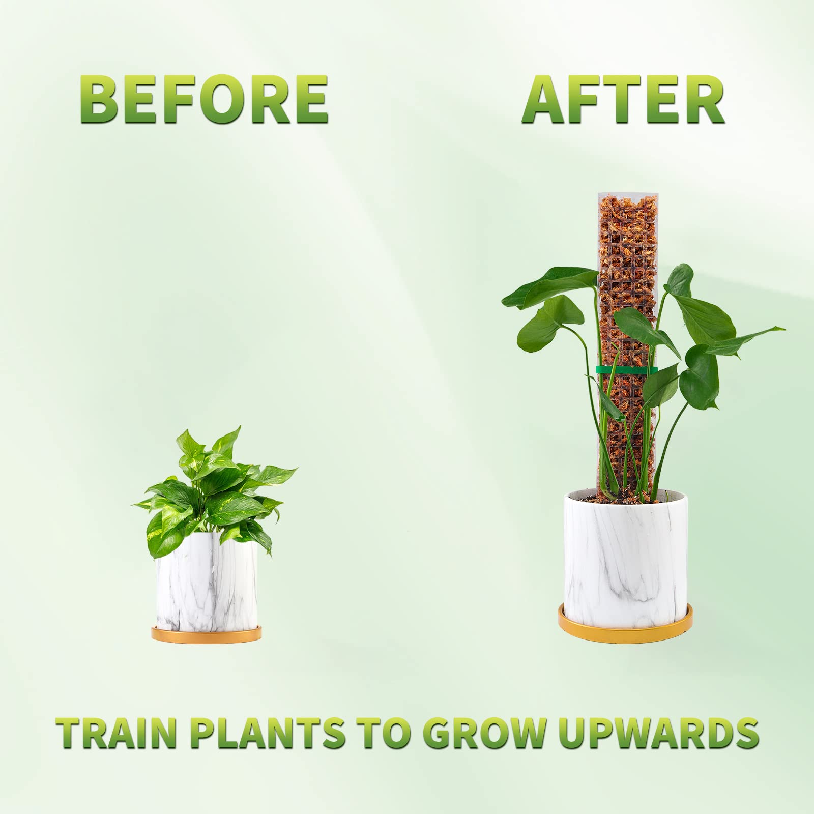 Moss Poles Plants Plant Suppor - Indoor Herb Garden recension och pris