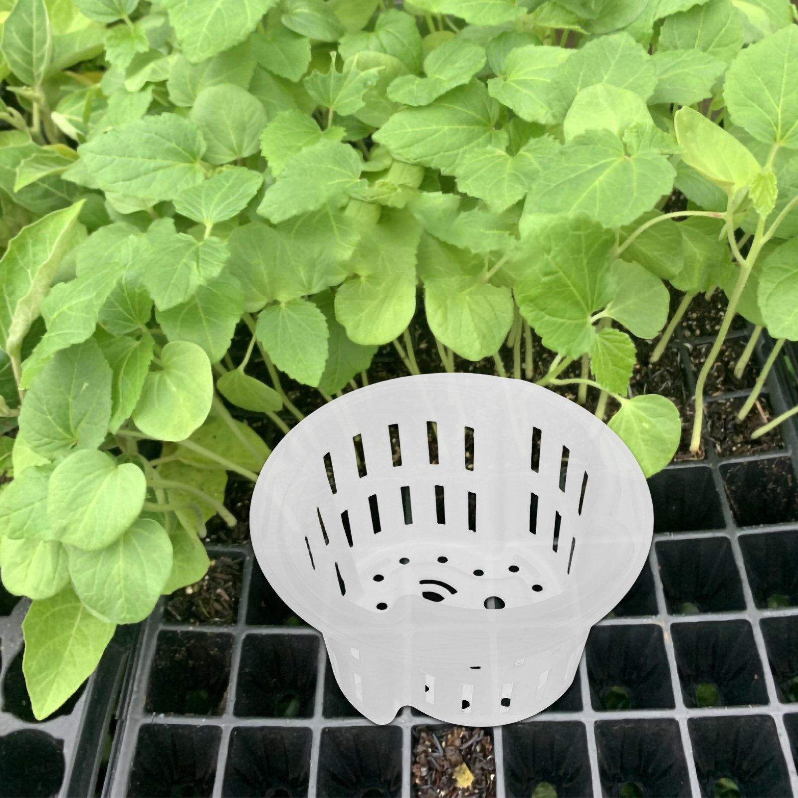 4Pcs Hydroponic Plant Pots Thi - Plant Pot recension och pris