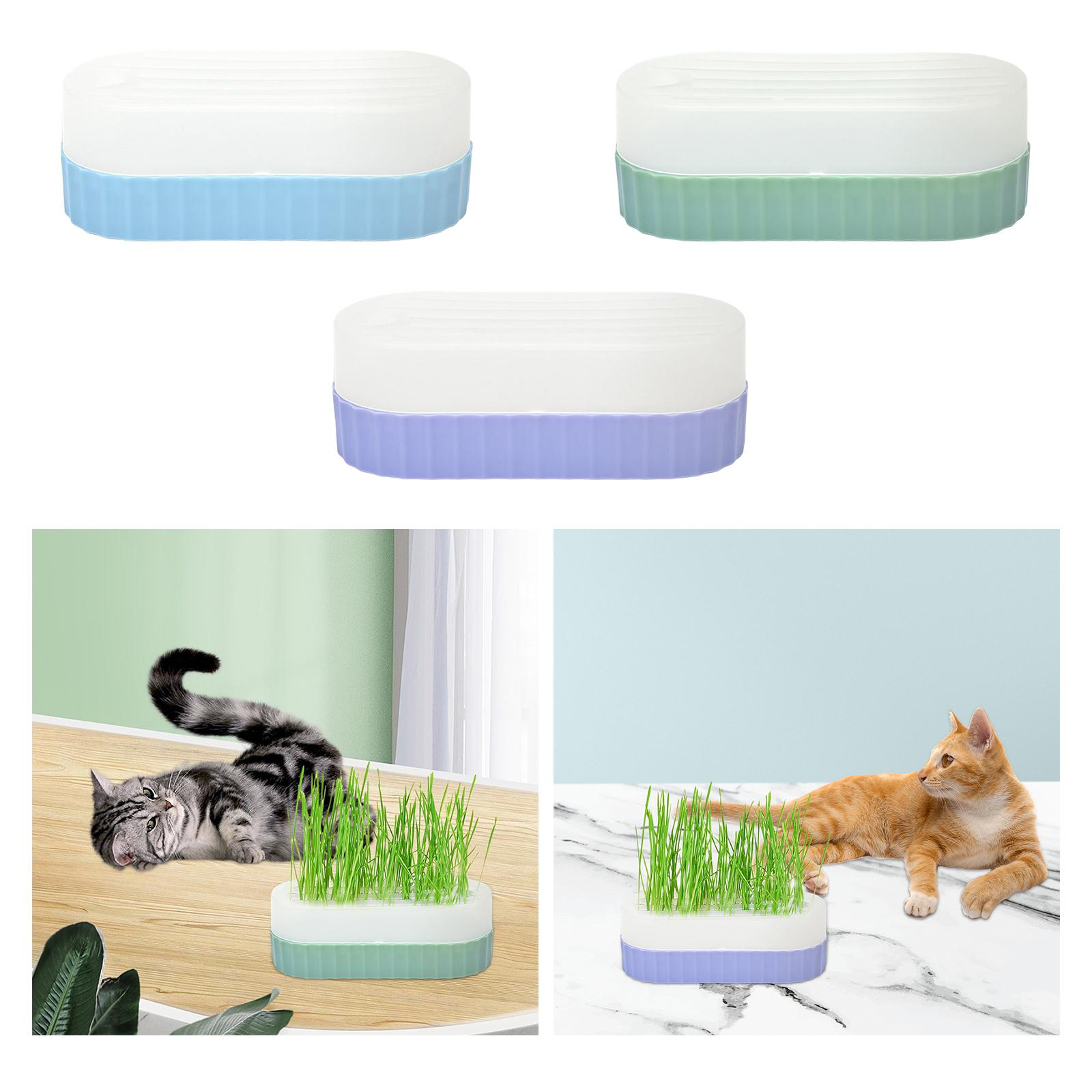 Seed Sprouter Tray with Drain  - Hydroponic Kit recension och pris