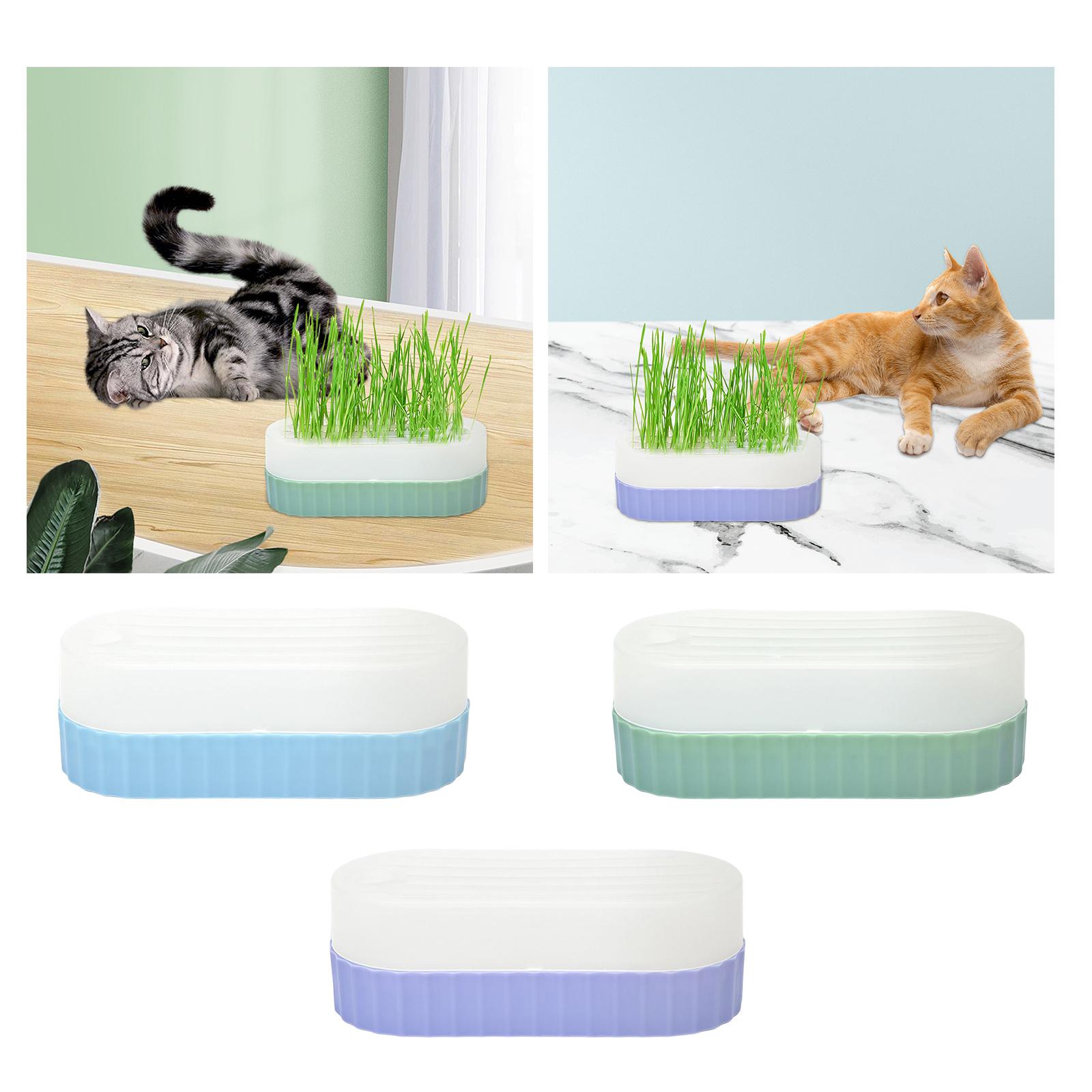 Seed Sprouter Tray with Drain  - Hydroponic Kit recension och pris