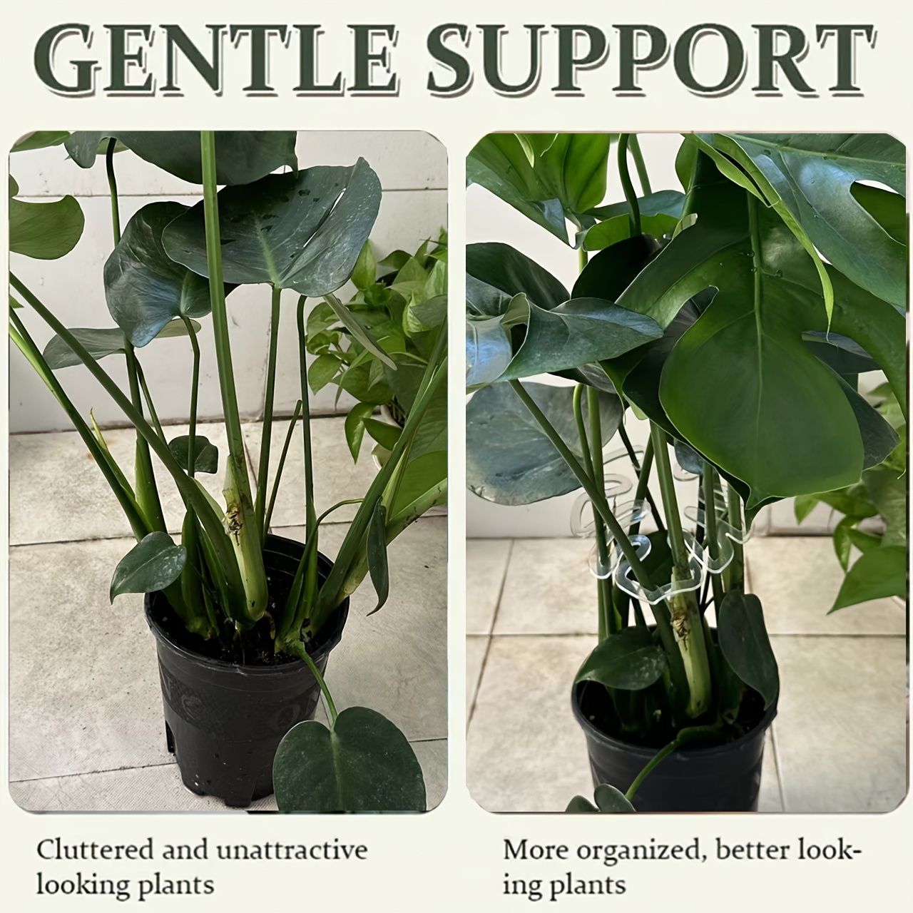 Flexible Plastic Monstera Plan - Vertical Planter recension och pris