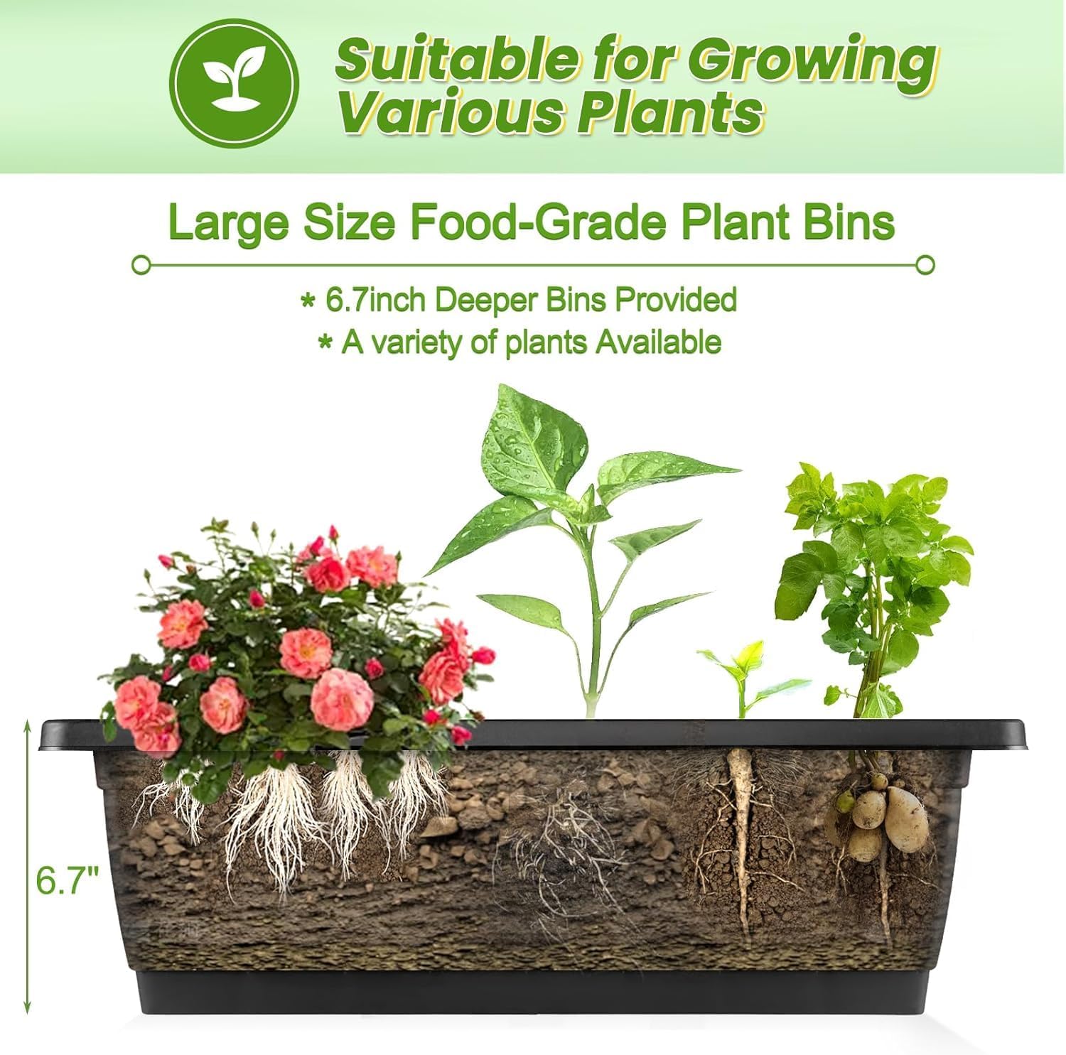 Vertical Raised Garden Bed Wit - Indoor Herb Garden recension och pris