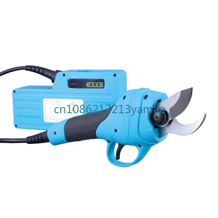 Lithium Battery Backpack Elect - Pruning Shears recension och pris