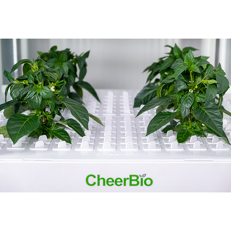 New   Intelligent Planting Sys - Hydroponic Kit recension och pris