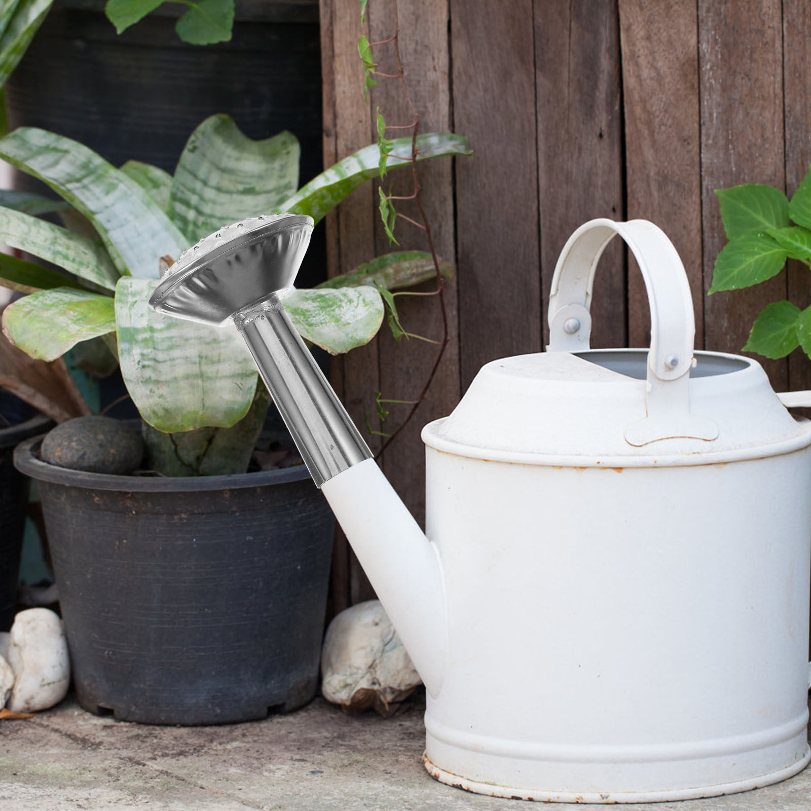 Stainless Steel Water Can Spra - Watering Can recension och pris