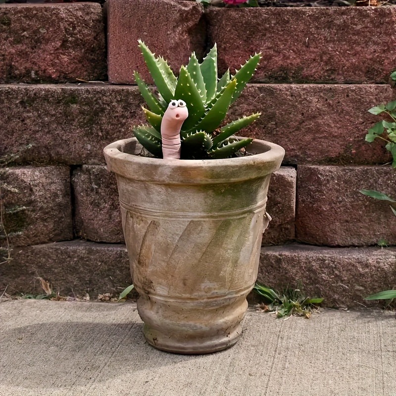 Cute Thirsty Worm Plant Decora - Indoor Herb Garden recension och pris