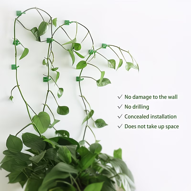 20-Pack Green Ivy Plant Climbi - Indoor Herb Garden recension och pris