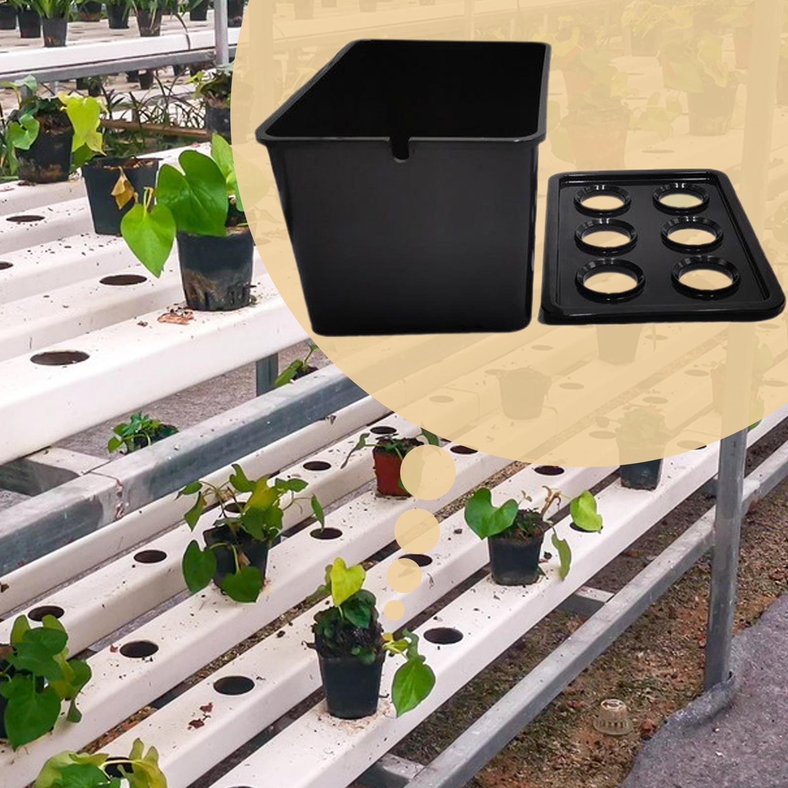 Hydroponic Planting Kit Beginn - Hydroponic Kit recension och pris