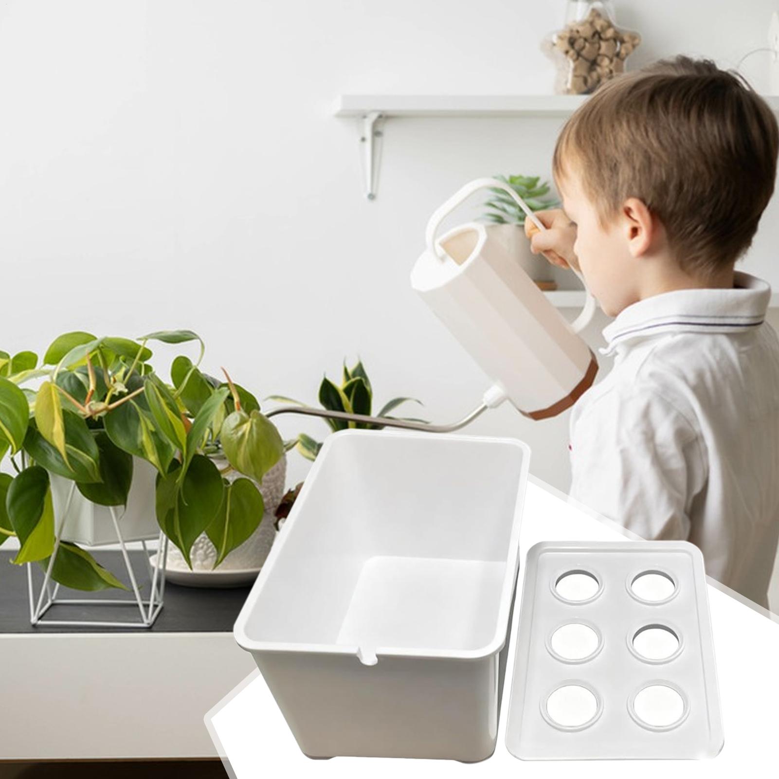 Hydroponic Planting Kit Beginn - Hydroponic Kit recension och pris