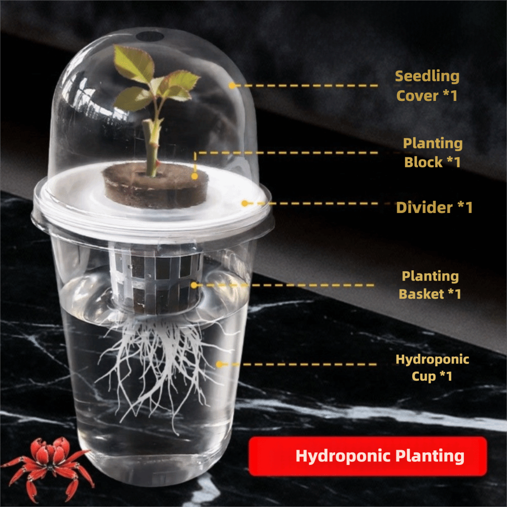 1-5pc Visible Clear Plants Ger - Seed Starter Tray recension och pris