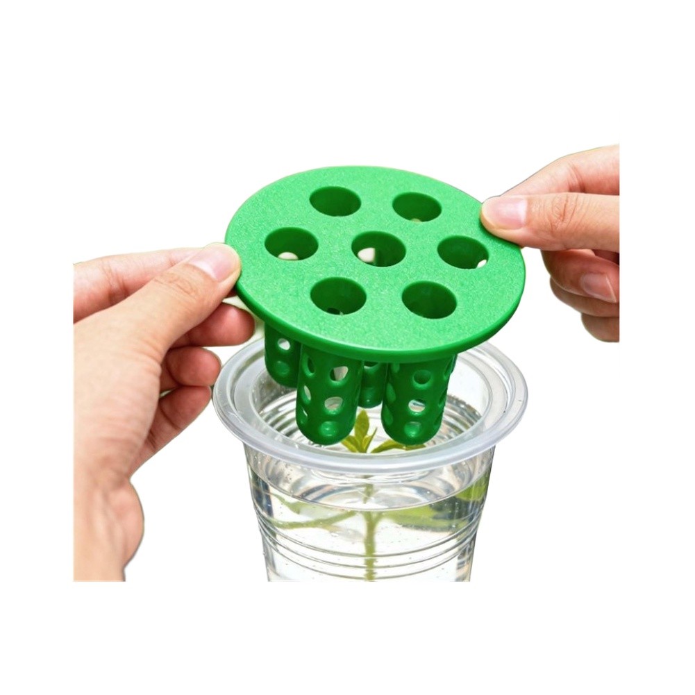4pcs Green Onion Regrower Spro - Hydroponic Kit recension och pris