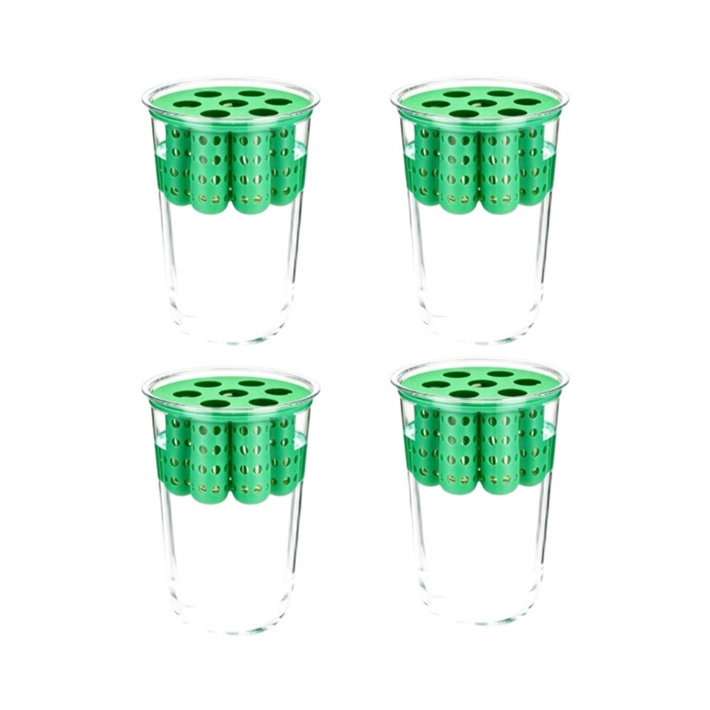 4pcs Green Onion Regrower Spro - Hydroponic Kit recension och pris