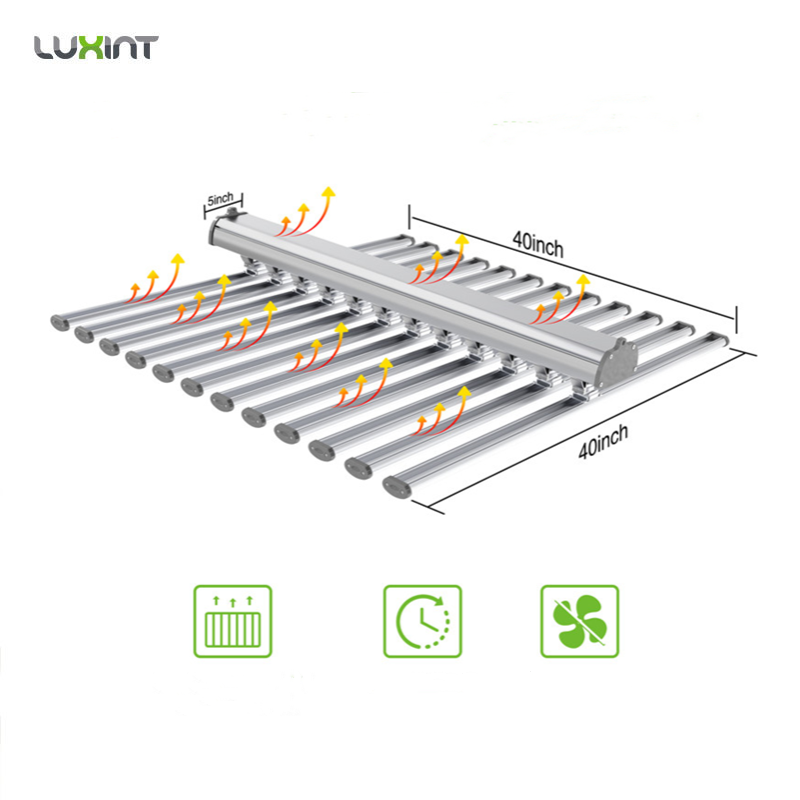 LUX China Factory Led Plant Li - Grow Light Led recension och pris