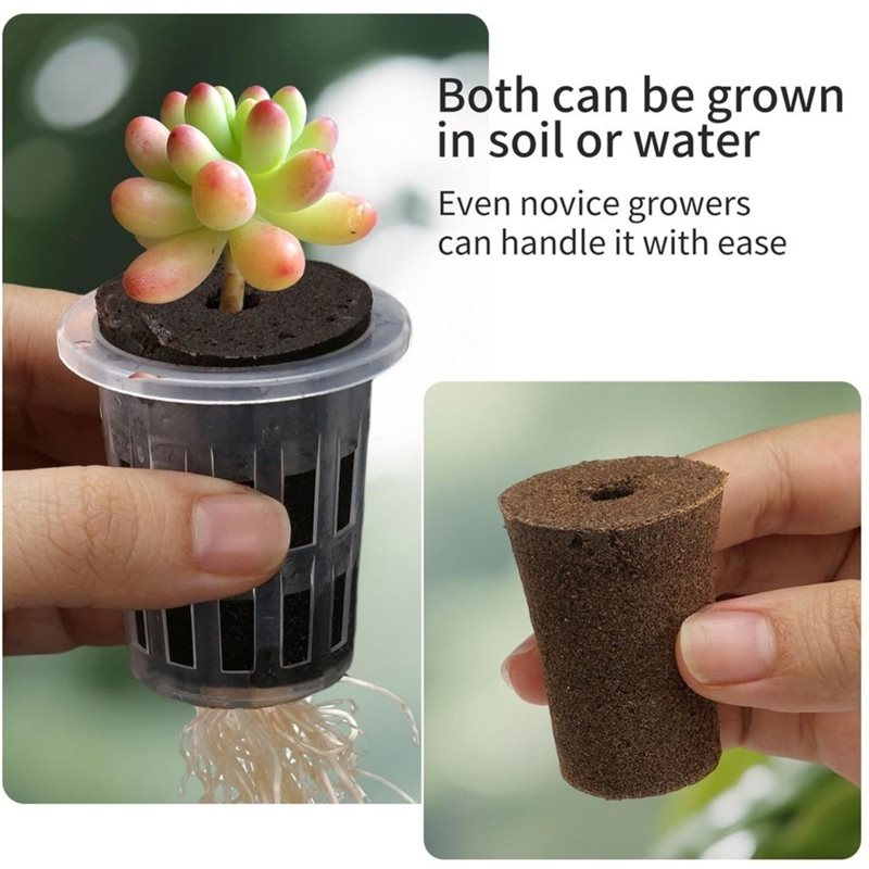 [ABFI!】 Hydroponic Seedling Cu - Hydroponic Kit recension och pris