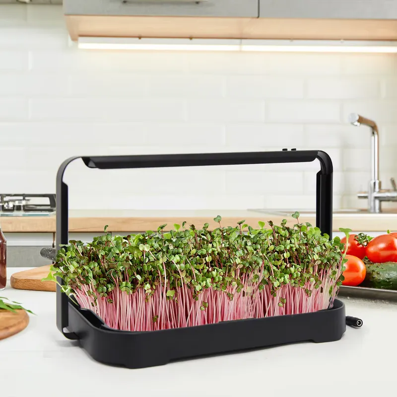 Hydroponic Tray Indoor Microgr - Hydroponic Kit recension och pris