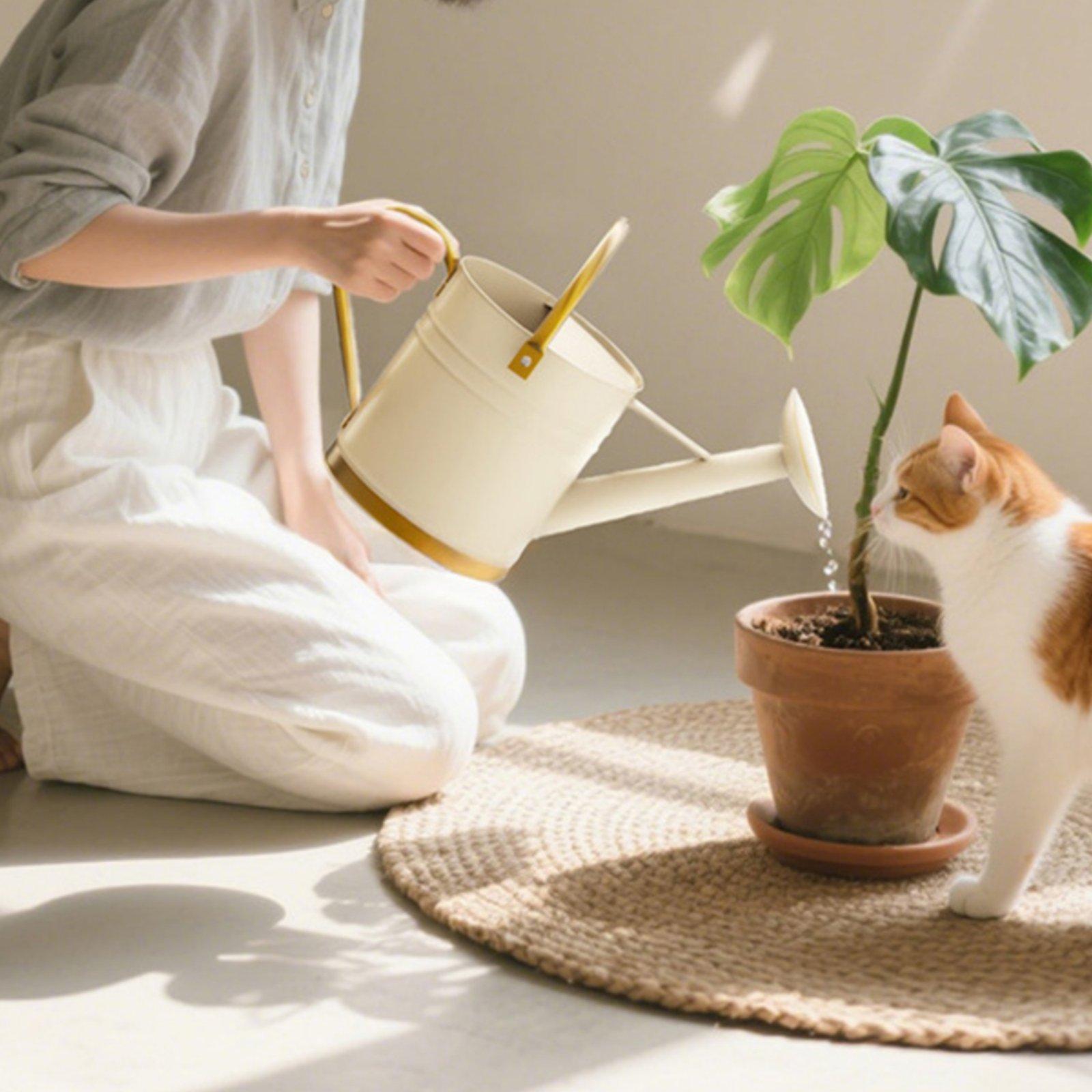 Long Spout Watering Can Leak-P - Watering Can recension och pris